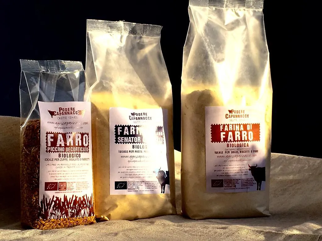 Willa Capannacce Organic And Horse Farm Rapolano Terme Gospodarstwo agroturystyczne